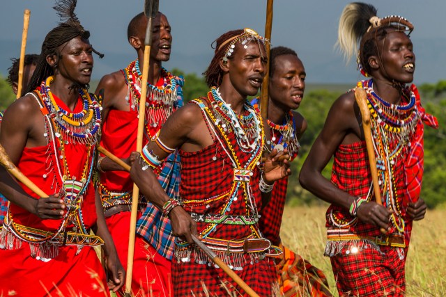 Maasai men dressed in traditional attire with spears and sticks singing and dancing at a cultural ceremony