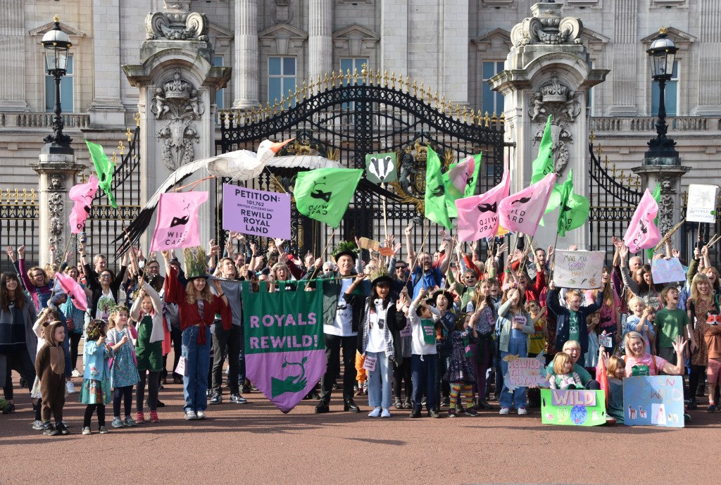 School strikers determine on the Royals to rewild their land