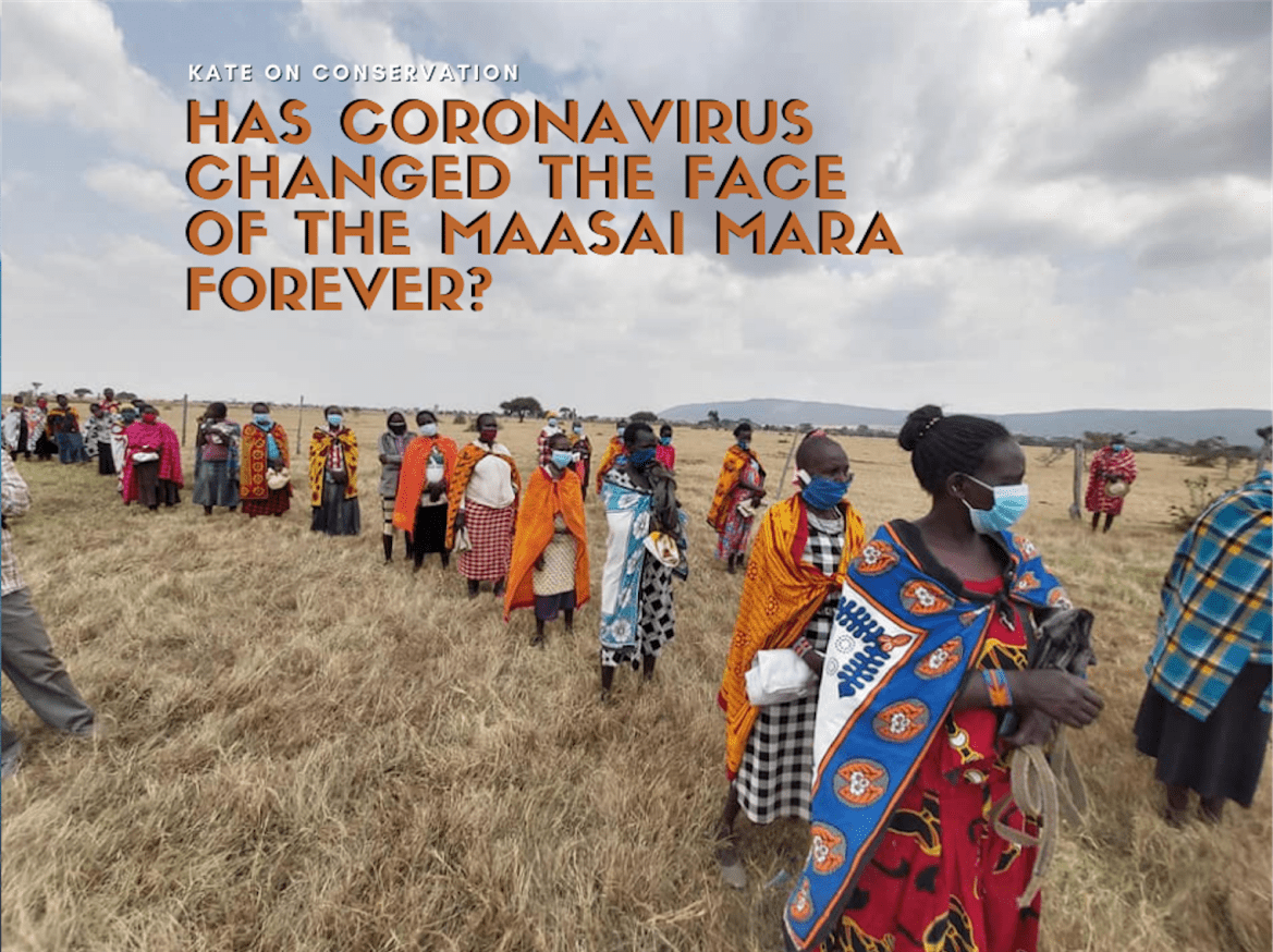 maasai-mara-coronavirus-impact-title-card