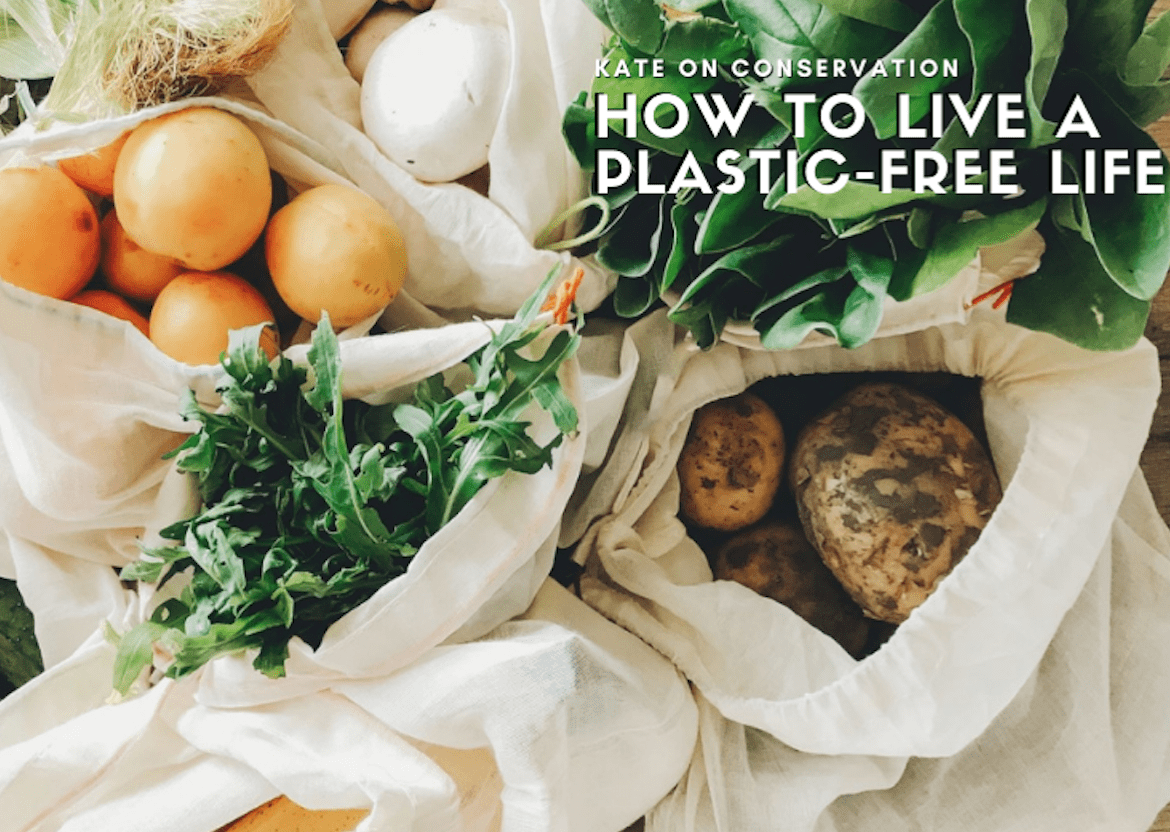 Zero-waste revolution: The best strategy to Maintain a Plastic-Free Life